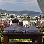 Hotel El Vino &