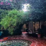 El Vino &