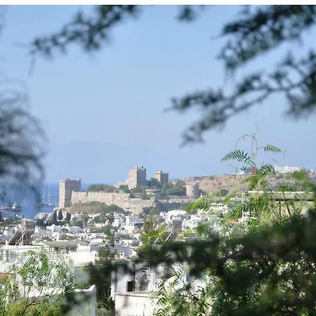 El Vino & Bodrum