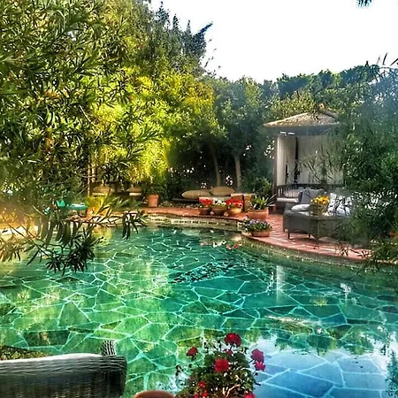 艾莉维诺套房酒店 3* 博德鲁姆