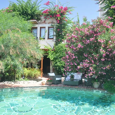 El Vino & Hotel Bodrum