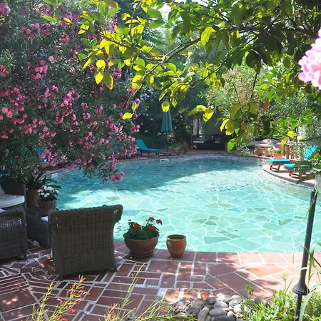 酒店 艾莉维诺套房酒店