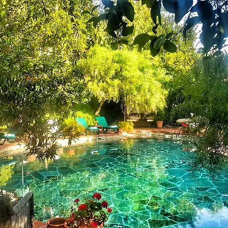 艾莉维诺套房酒店 3* 博德鲁姆