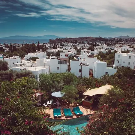 Hotel El Vino &