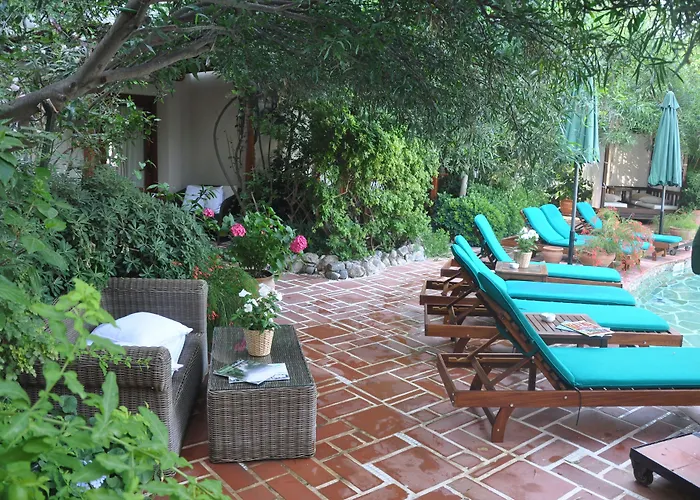 Hotel El Vino & Bodrum