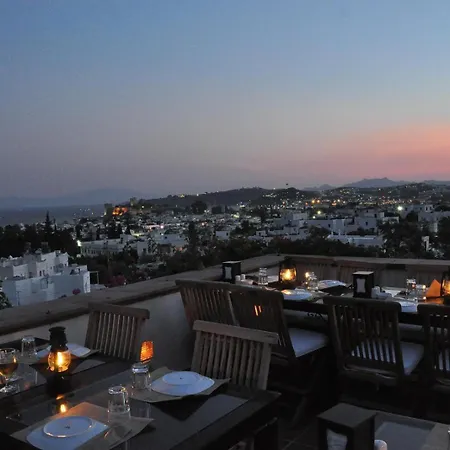 El Vino & Bodrum