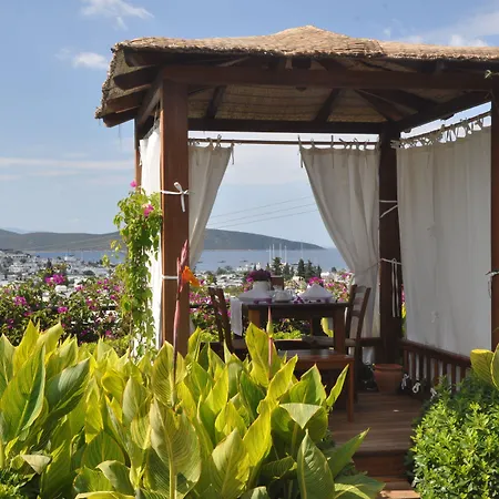 El Vino & 3* Bodrum