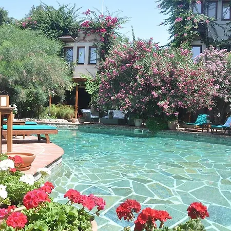 Szálloda El Vino & Bodrum