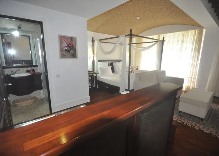 El Vino & Αλικαρνασσός