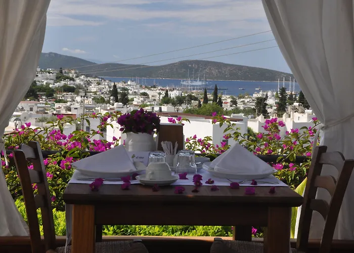 Ξενοδοχείο El Vino &