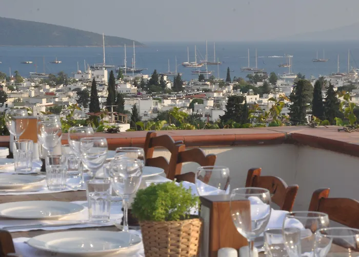 Ξενοδοχείο El Vino &