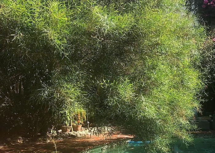 El Vino & 3* Αλικαρνασσός