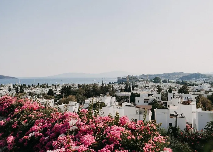 El Vino & Ξενοδοχείο